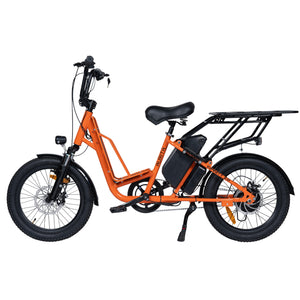 Aurita Trooper | Multi Utility Cargo Hauling| Electric Cycle | 3 Level Pedal Assist | Single Speed Gears | Range up to 75 km |