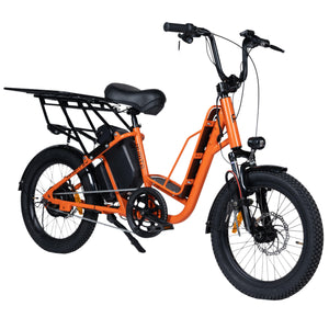 Aurita Trooper | Multi Utility Cargo Hauling| Electric Cycle | 3 Level Pedal Assist | Single Speed Gears | Range up to 75 km |