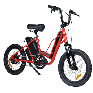 Aurita Tempest | Utility Electric Cycle | LED Display - 3 Level Pedal Assist | Single Speed Gears | Range up to 45 km |